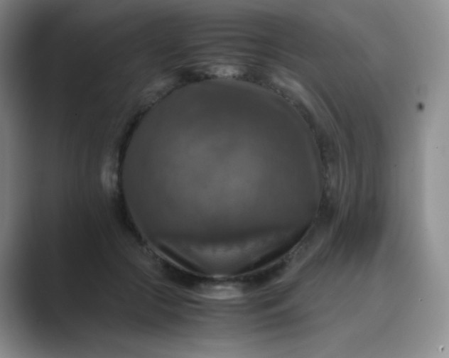 X0000089690553200707051627