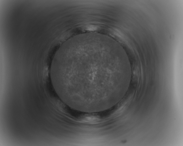 X0000089690555200707051627