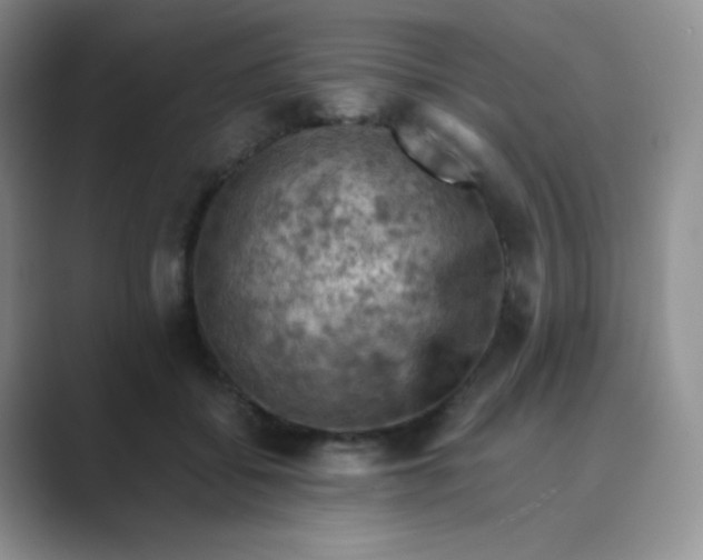 X0000089690556200707051627