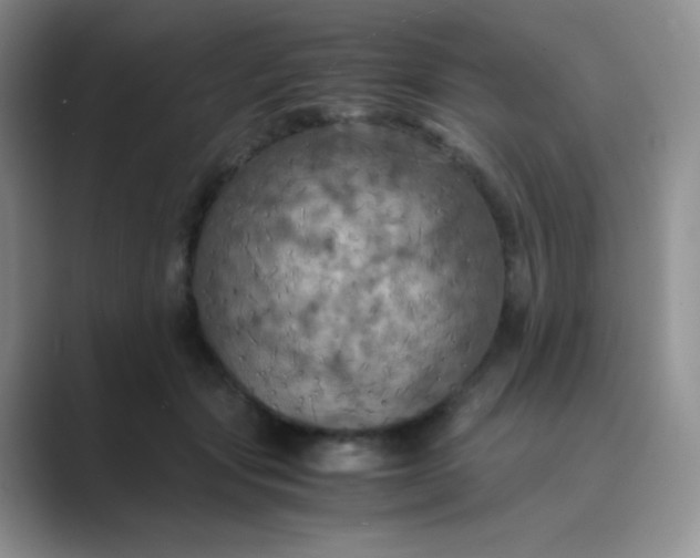 X0000089690557200707051627