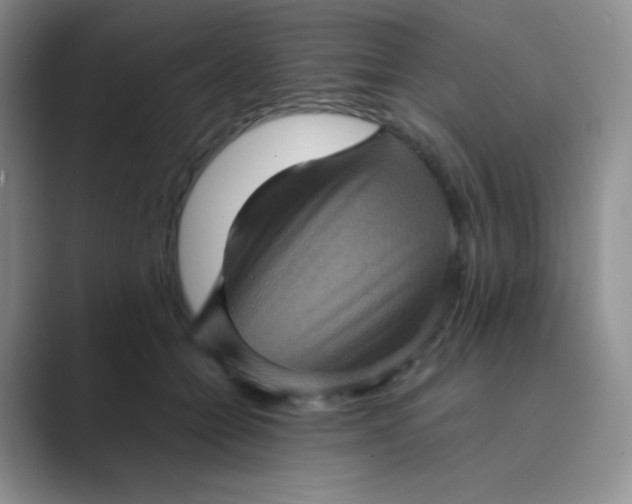 X0000089690558200707051627