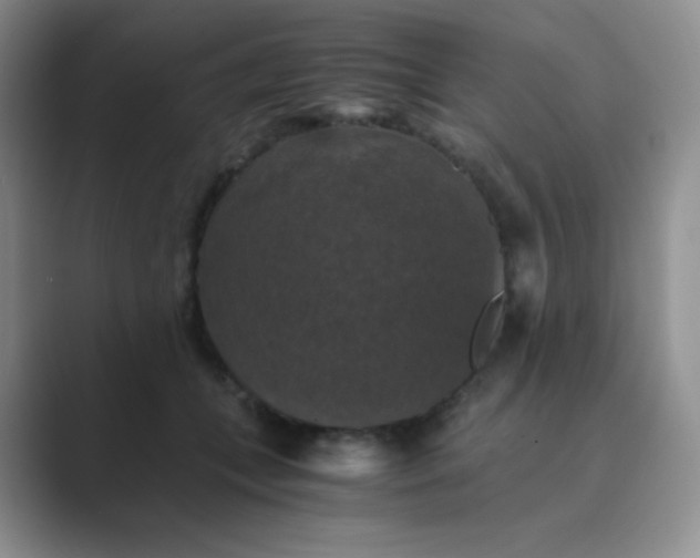 X0000089690559200707051627