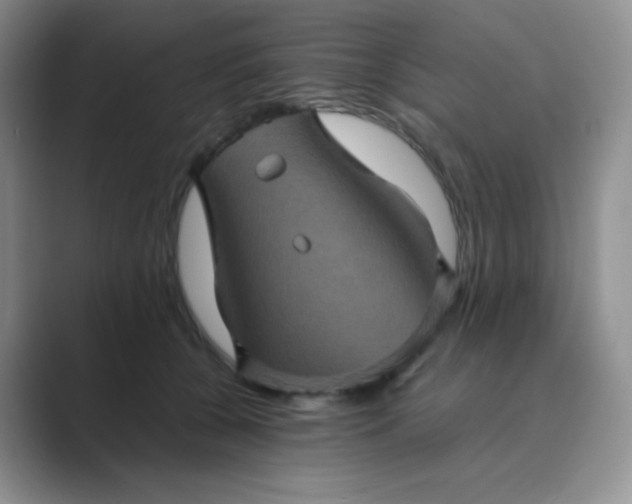 X0000089690560200707051627