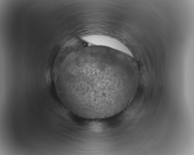 X0000089690562200707051627