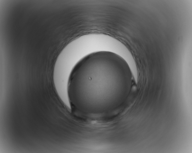 X0000089690564200707051627