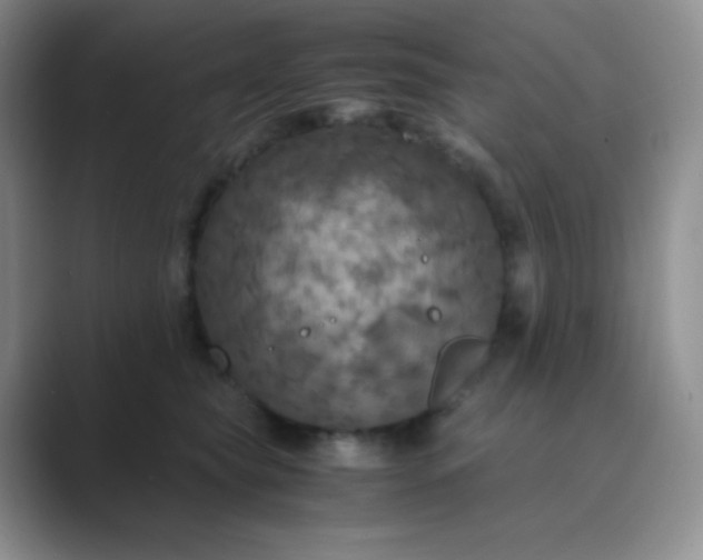 X0000089690565200707051627