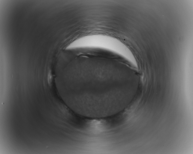 X0000089690566200707051627