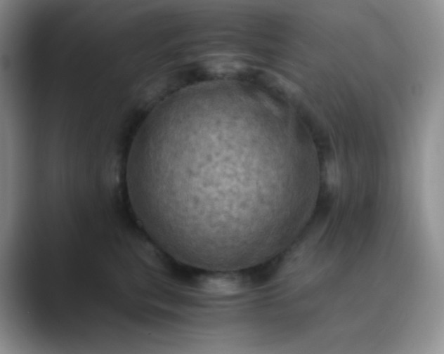 X0000089690567200707051627