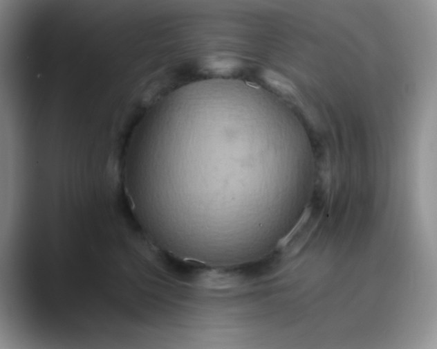 X0000089690568200707051627