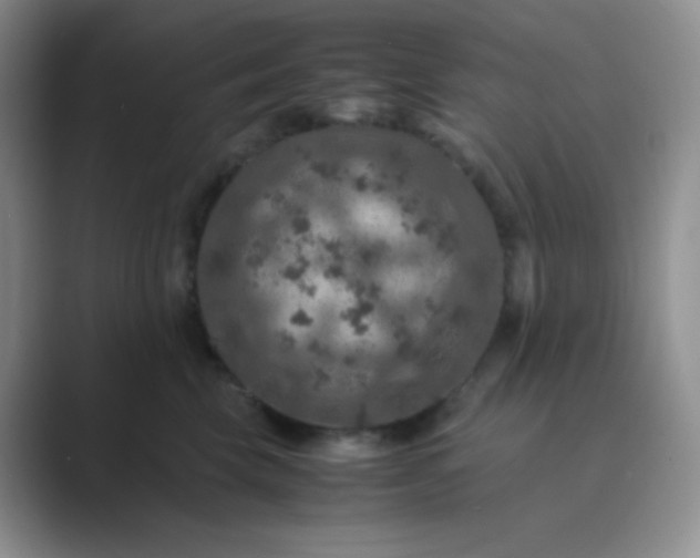 X0000089690569200707051627