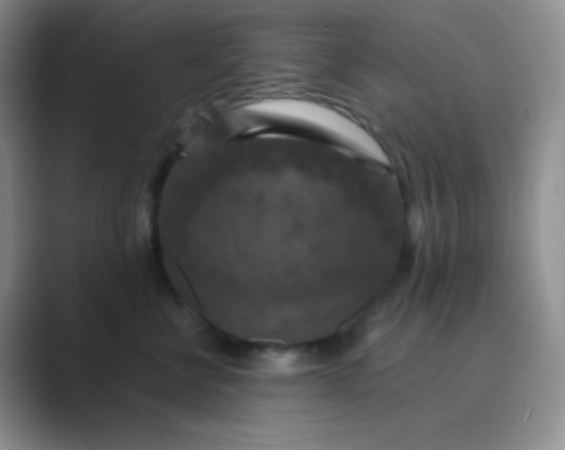 X0000089690570200707051627