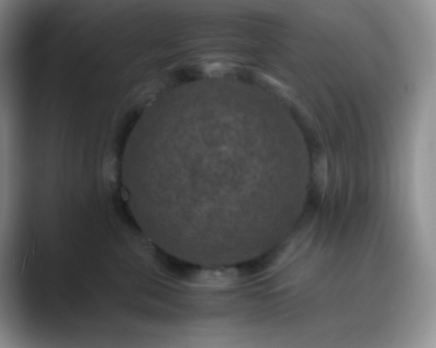 X0000089690571200707051627