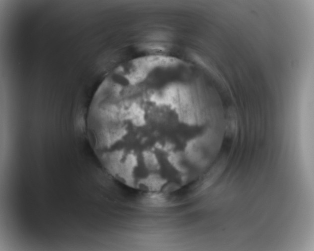 X0000089690573200707051627