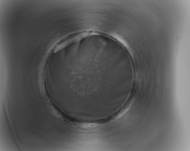 X0000089690577200707051626