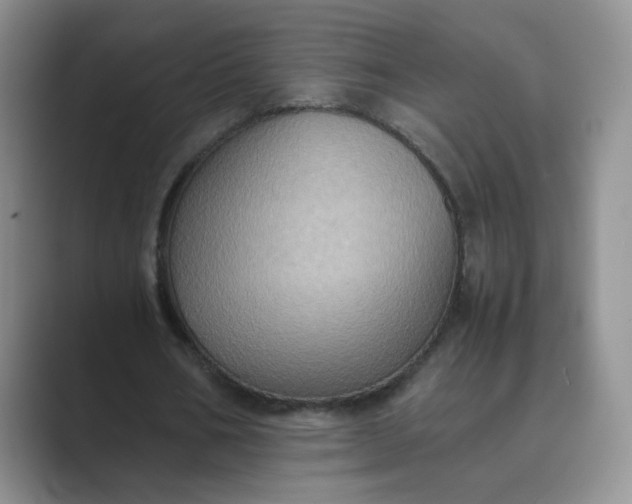 X0000089690578200707051626