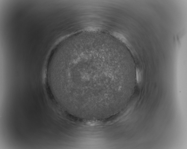 X0000089690579200707051626