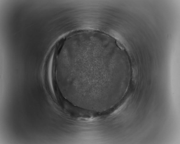 X0000089690580200707051626