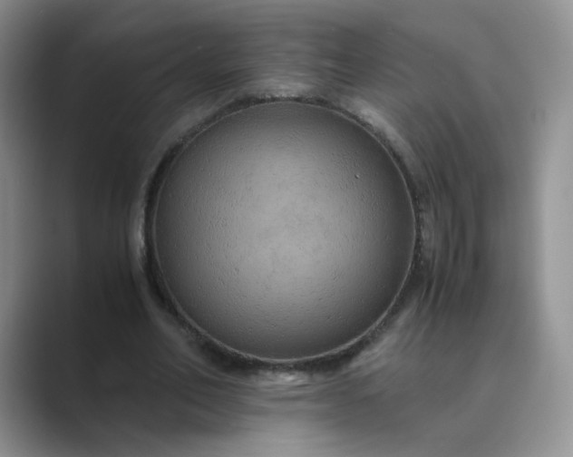 X0000089690582200707051626