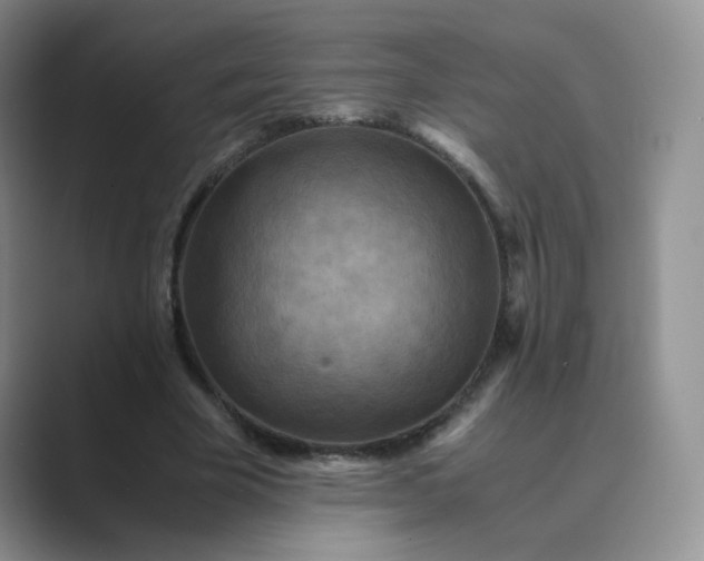 X0000089690585200707051626