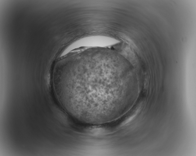 X0000089690589200707051626