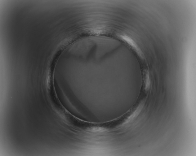 X0000089690590200707051626