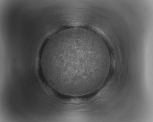 X0000089690591200707051626