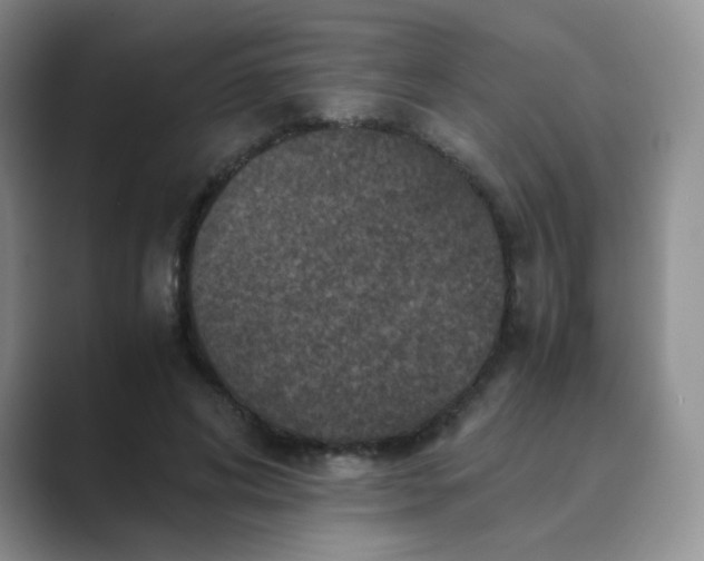 X0000089690592200707051626