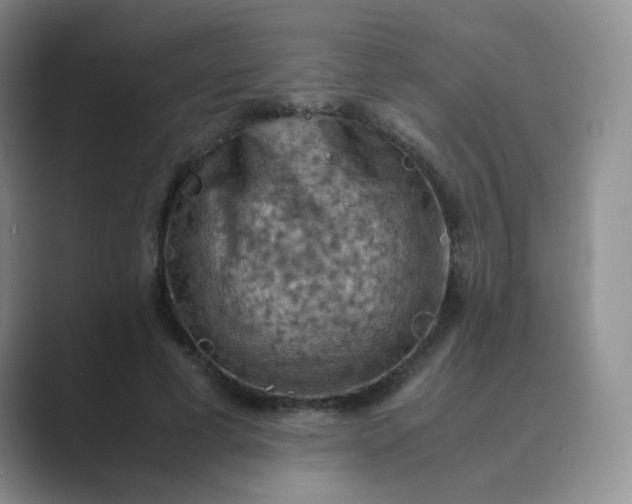 X0000089690593200707051626