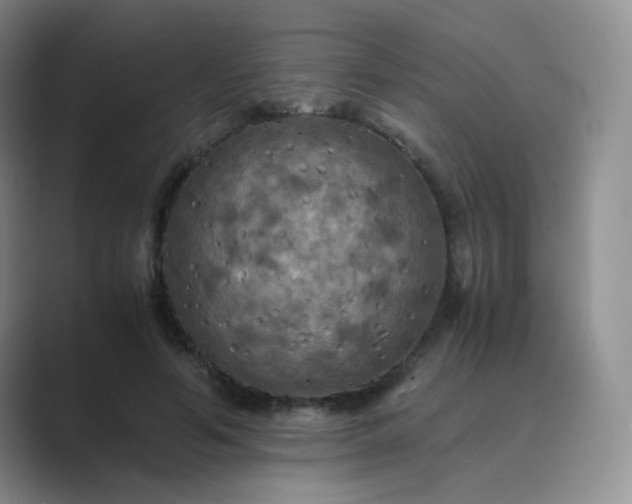 X0000089690594200707051626