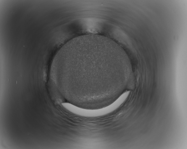 X0000089690595200707051626