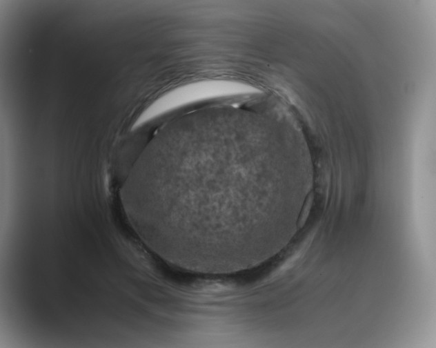 X0000089690597200707051626