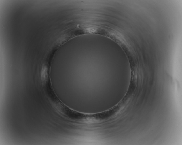 X0000089690598200707051626