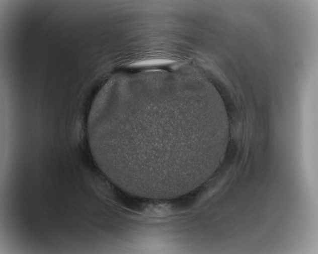 X0000089690599200707051626