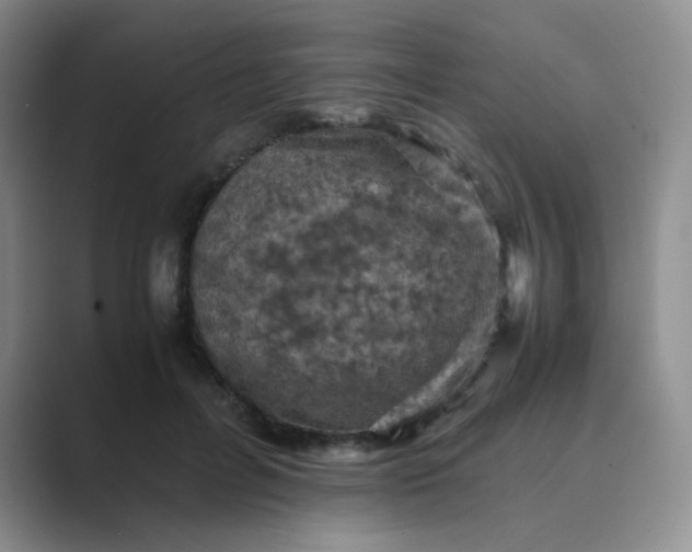 X0000089690600200707051626