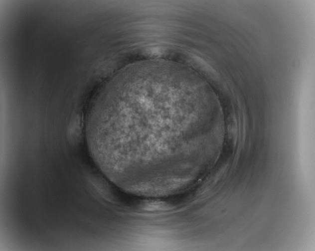 X0000089690605200707051626