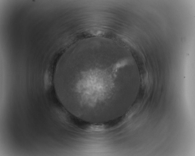 X0000089690606200707051626