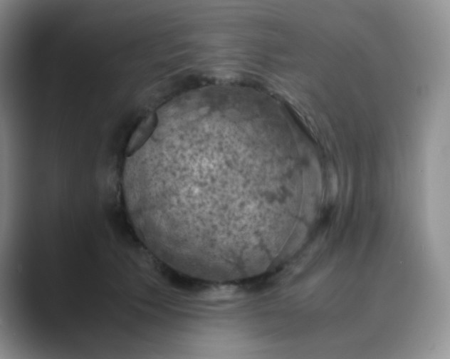 X0000089690609200707051626