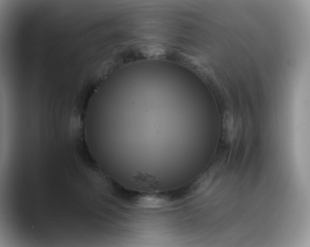 X0000089690614200707051626