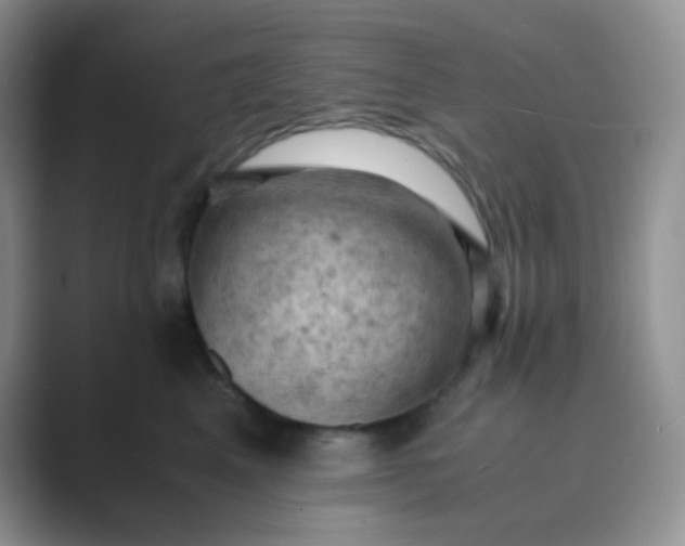 X0000089690617200707051626