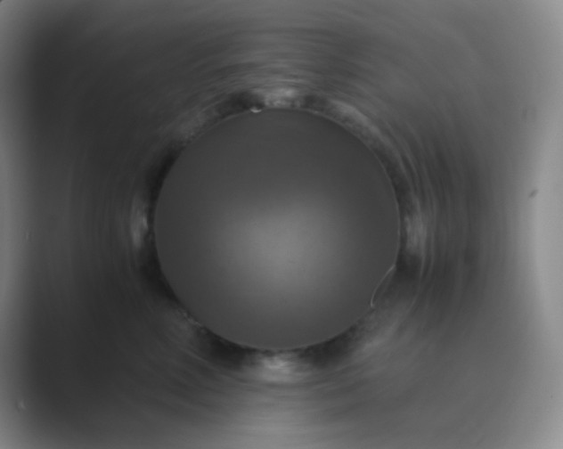 X0000089690618200707051626