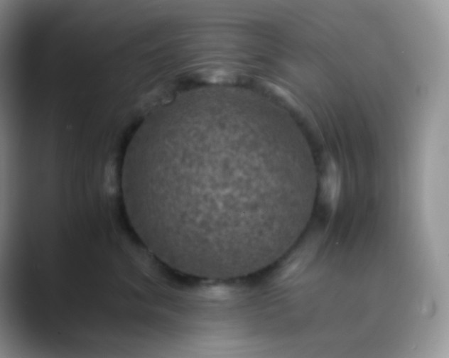 X0000089690620200707051626