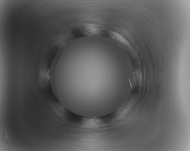 X0000089690621200707051626