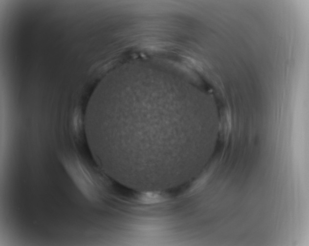 X0000089690623200707051626