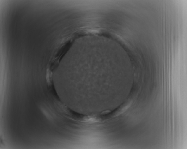 X0000089690624200707051626