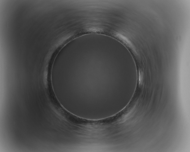 X0000089690627200707051625