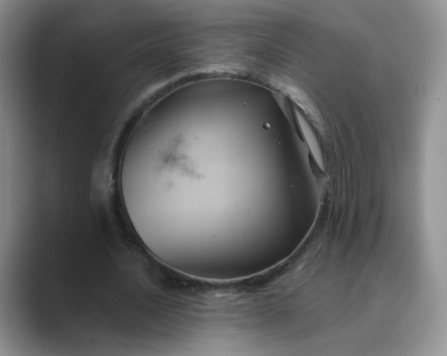 X0000089690628200707051625