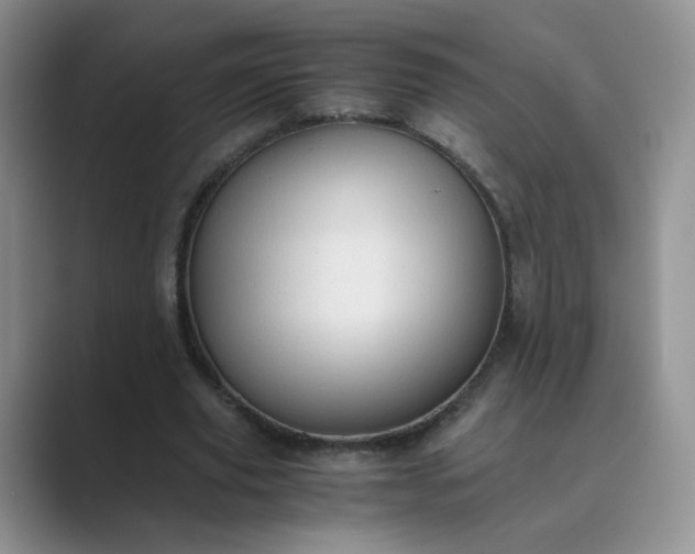 X0000089690629200707051625