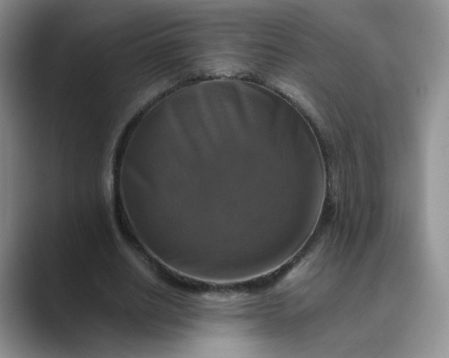 X0000089690630200707051625