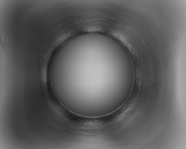 X0000089690631200707051625