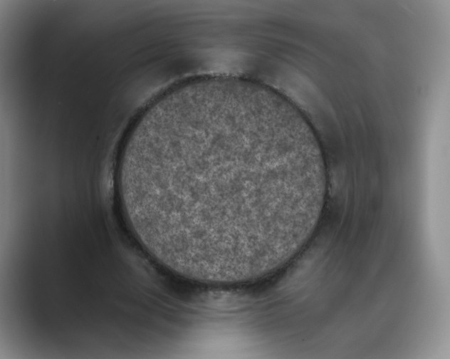 X0000089690632200707051625